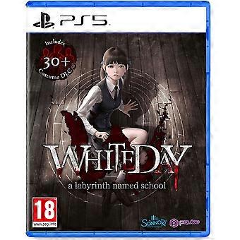 White Day A Labyrinth Named School PS5 Game