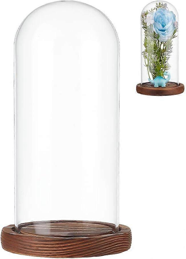 Clear Glass Dome Clear Glass Display Case with Camel Wood Base Decorative Display Dome Case for Plants Flower Display Photos Medals Decoration Finish 
