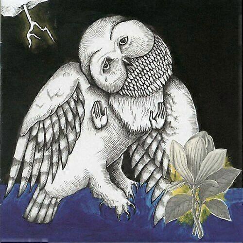 Magnolia Electric Co. CD'si (2003)