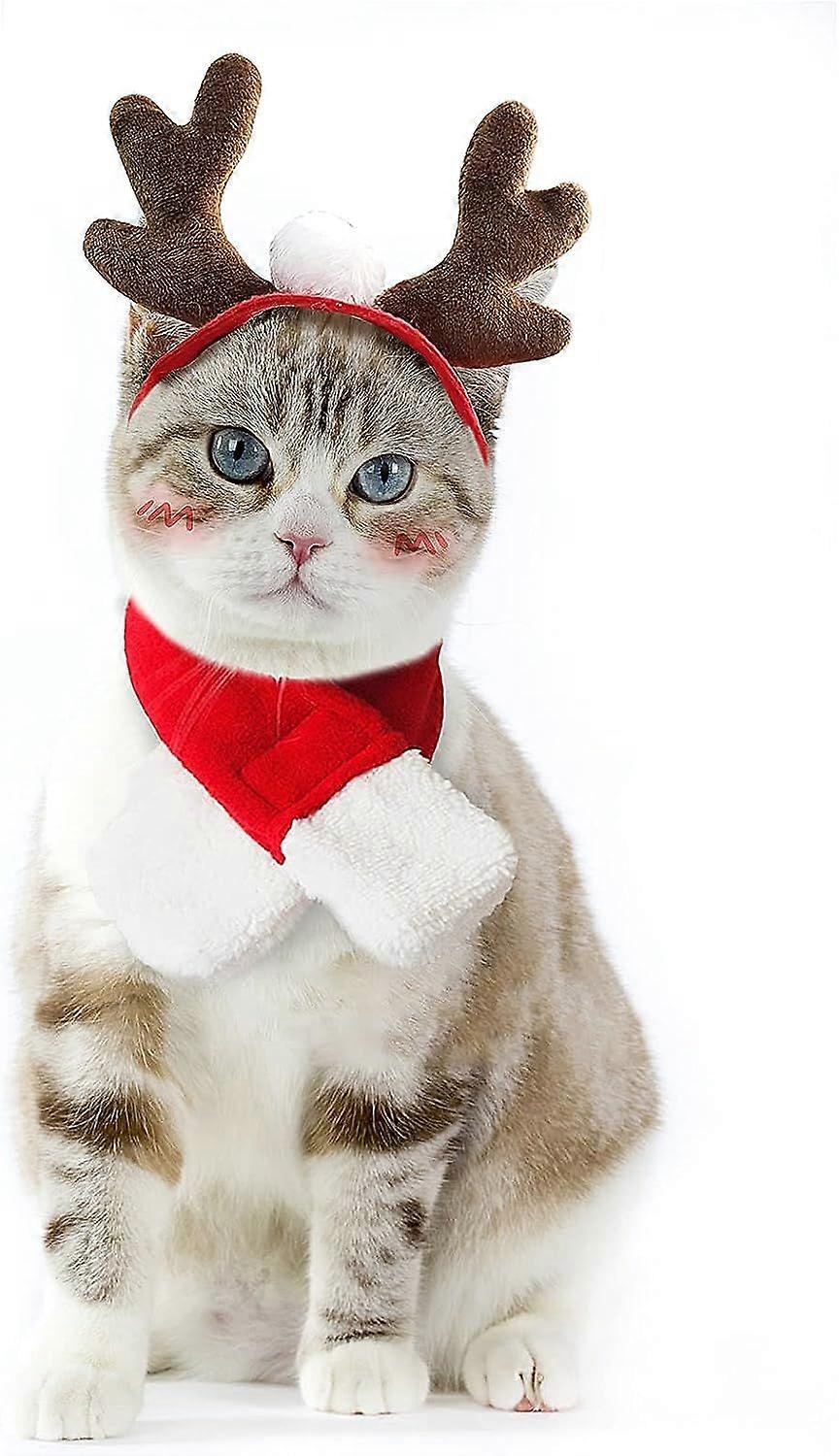 ペットコスチューム - ハロウィーンの魔女の帽子と小さな犬の猫のセーラー服