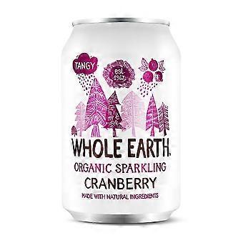 Whole Earth Lightly Sparkling Organic Cranberry 330ml - 4 Pack