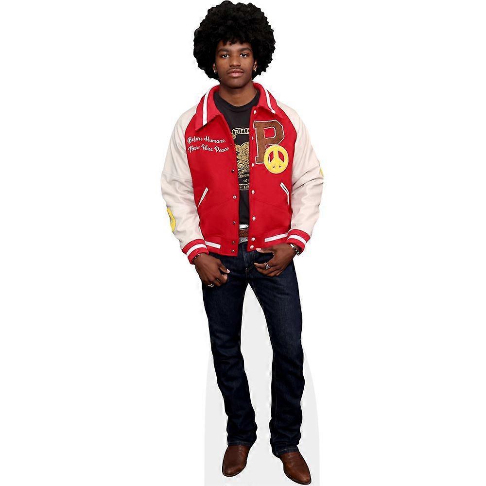 Layton Lamell (Jacket) Cardboard Cutout (lifesize OR mini size). Standee. Stand Up.