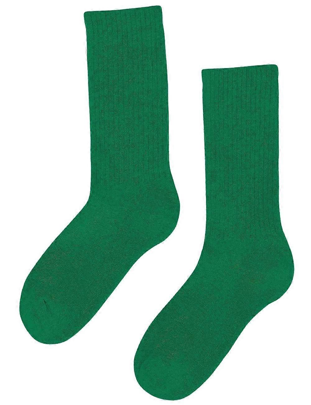 Men's Colorful Standard Organic Active Socks - Kelly Green