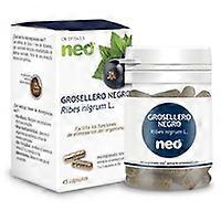 Blackcurrant 45 capsules