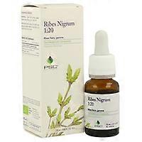 PSC Ribes Nigrum 15 ml
