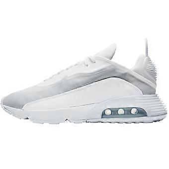 Nike Air Max 2090 Triple White BV9977-100