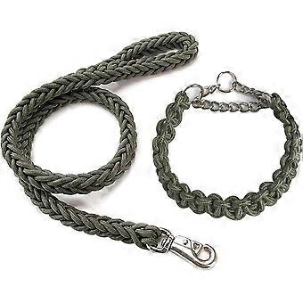 Strong Dog Leash and Collar Set, 4-Foot Nylon Rope Leash with Heavy Duty Clip Non-Slip with Metal Chain, for Small, Medium and Large Dogs, Green