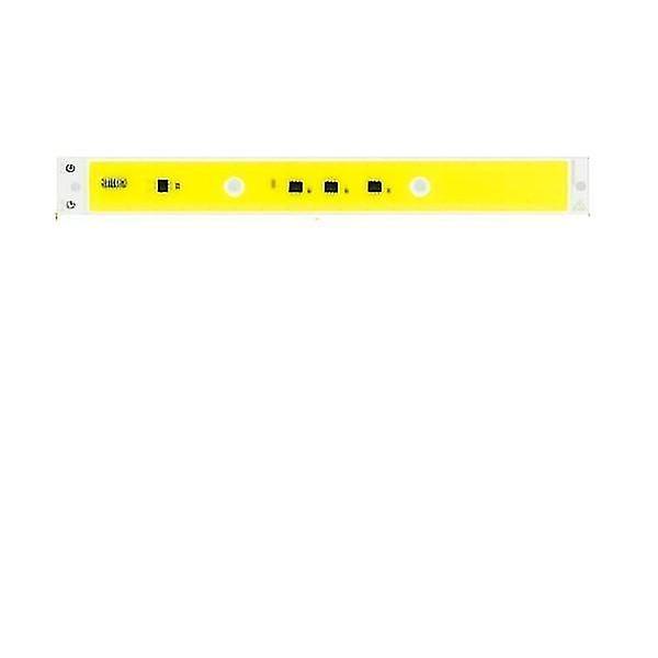 30W Cold White Led Light Bead Cold Warm Color For Spotlight Floodlight Lamp