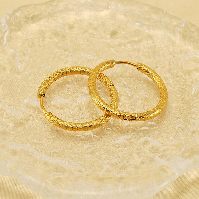 Titanium Steel Hoop øredobber for kvinner