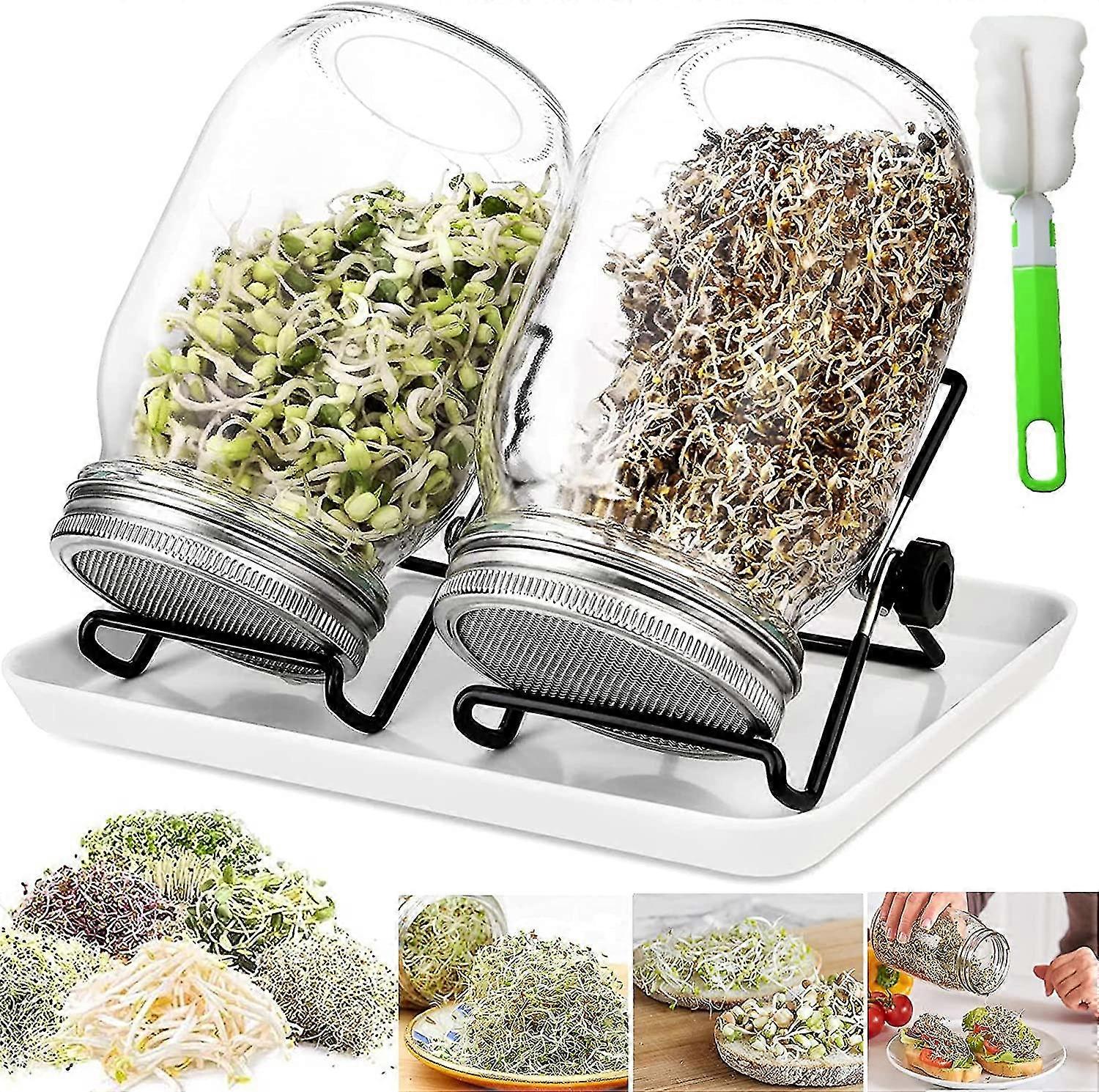 Sprouting Jars, 950ml Glass Sprouter With, Sprouting Seed Sprouter, 2 Grids, 2 Holders, 1 Sprouting Bowl, Sprout Jar For Broccoli, Water Celery, Alfal