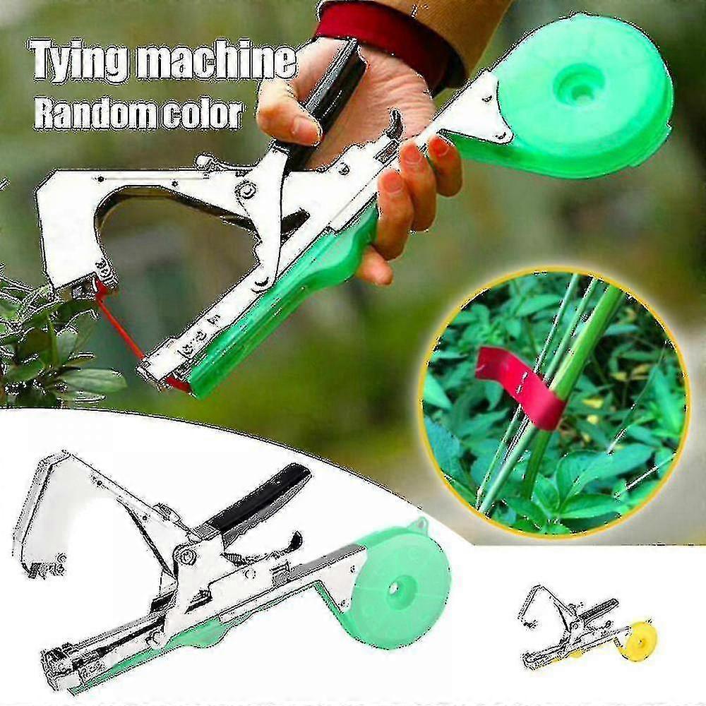 Plant Upright Ating Tapetool at Plant Ating Branch Fixed Ce