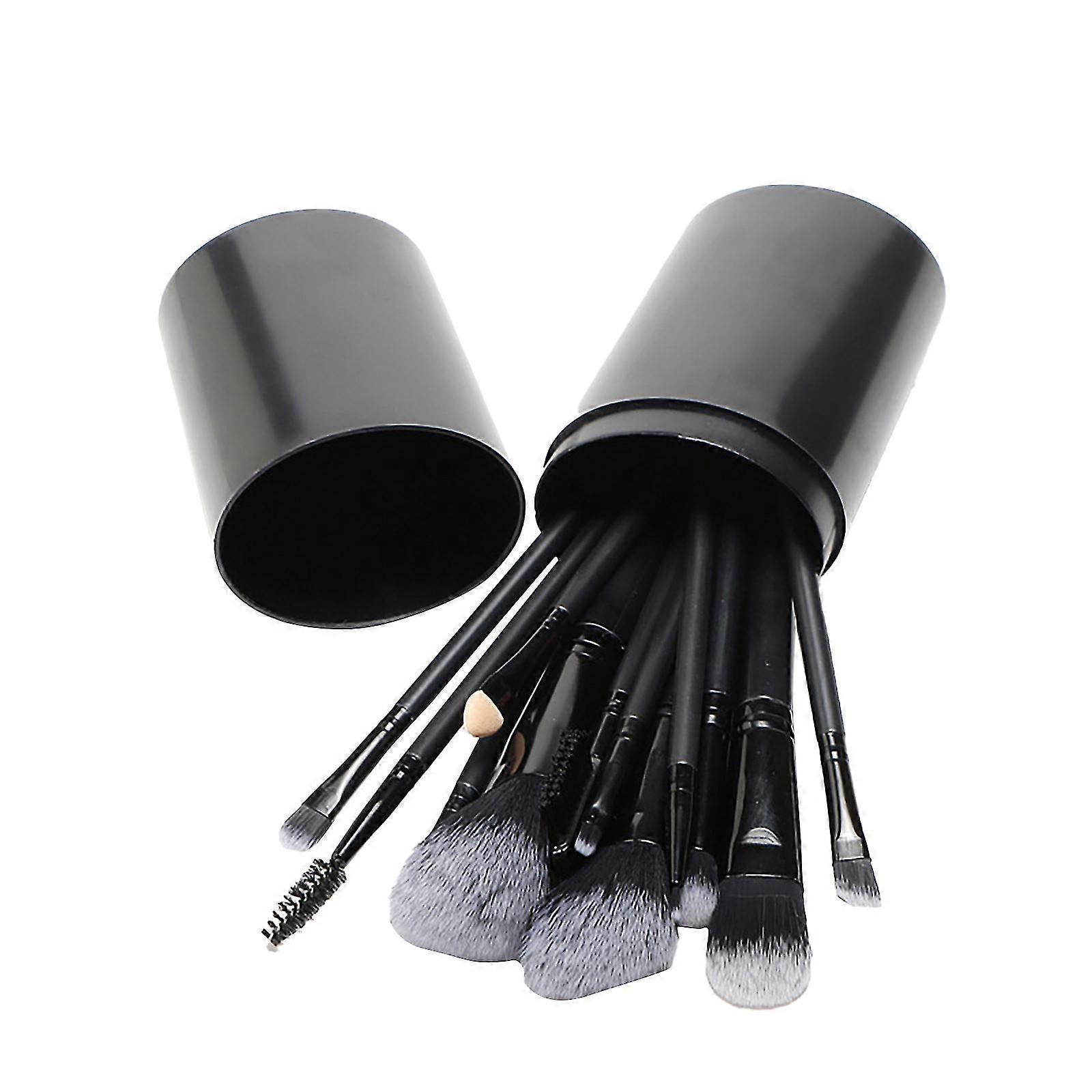 12pc Portable Makeup Brush Set, Foundation Brush, Eye Shadow Brush Set