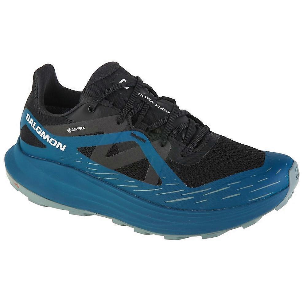 Shoes Salomon Ultra Flow Gtx 474739