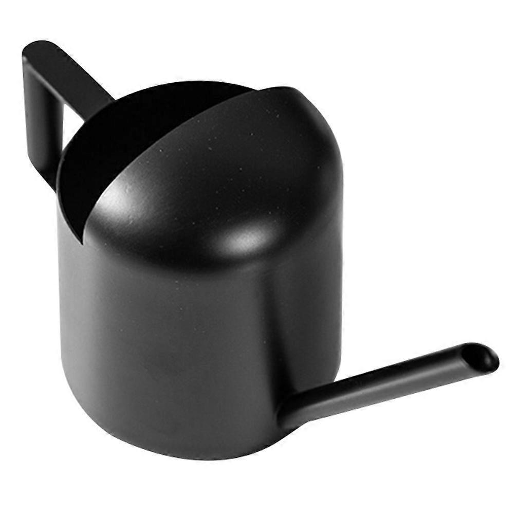 It sounds like you're describing a **stainless steel long spout watering can**, ideal for delicate watering tasks like caring for **succulents,