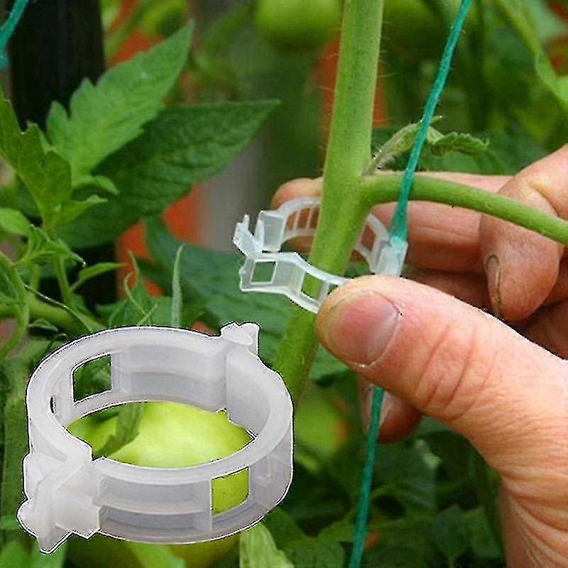 50-Pack Plant Support Clips for Tomato and Vegetable Fastening