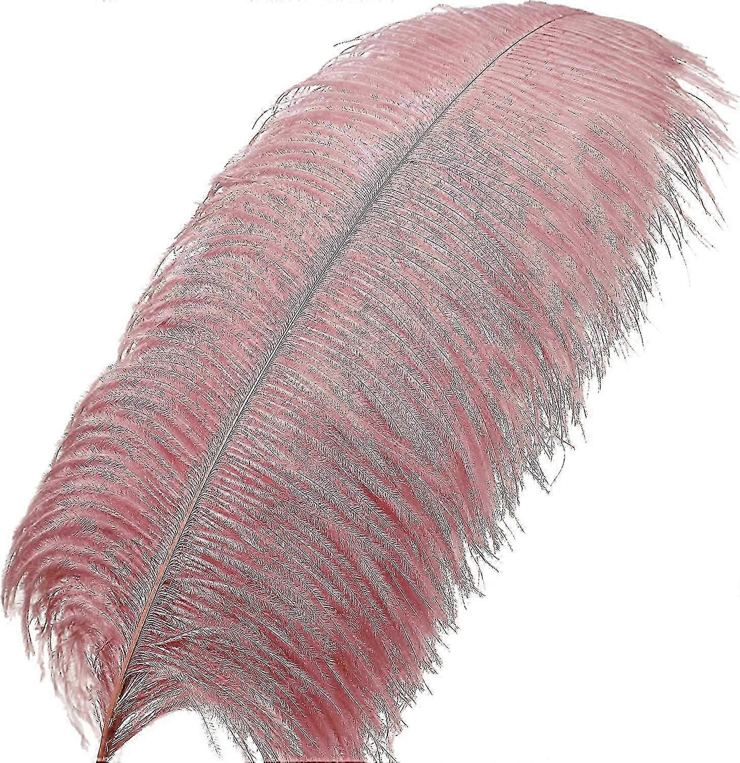 100pcs Ostrich Feathers For Decorations