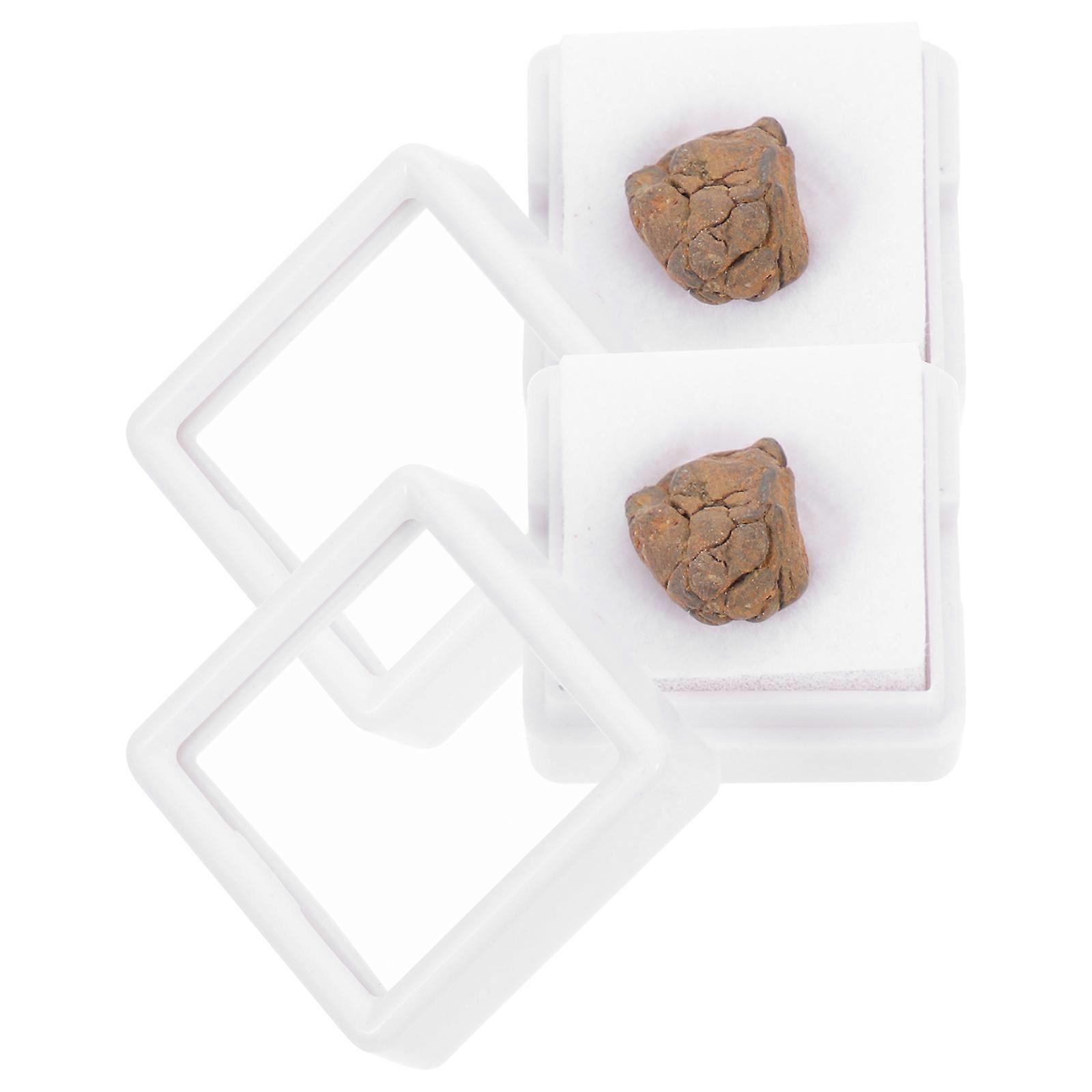 2Pcs Lithosiderite Adornment Meteorite Ornament for Decoration Use