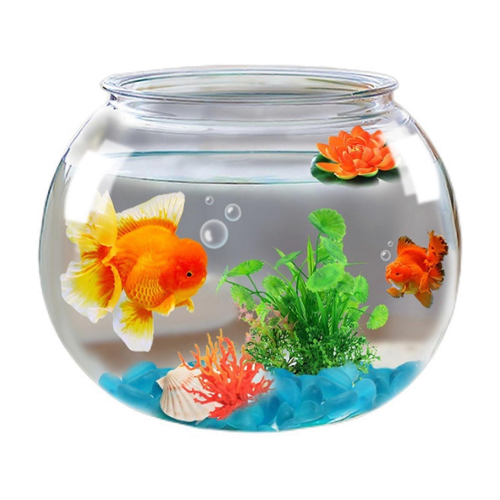 Fish Bowl Vase Shatter Resistant Aquarium Small Container Clear Bubble Planter Table Centerpiece Medium Size