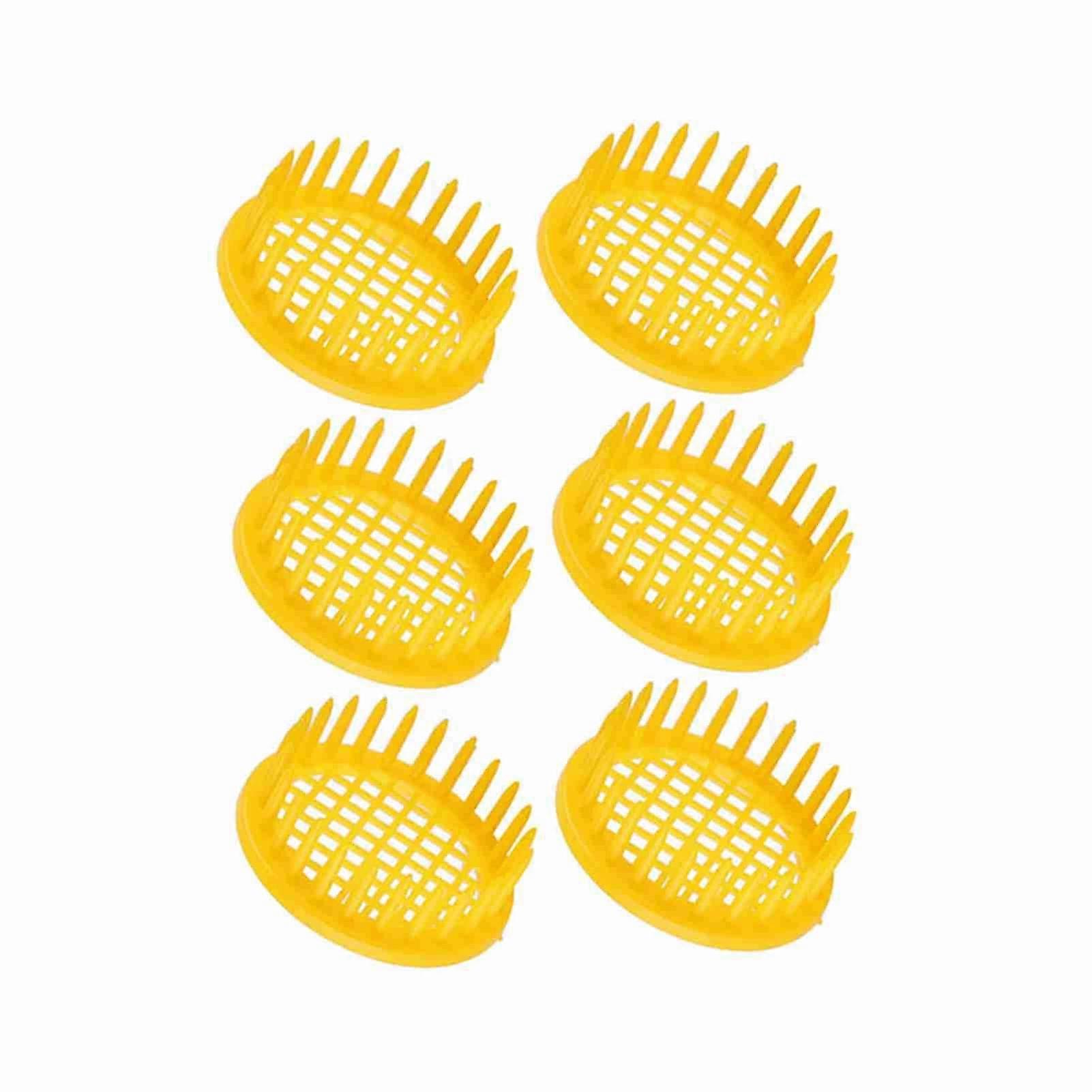 Beekeeping Equipment 6 Pcs Queen Bee Rearing Box Kit for Efficient Colony Management