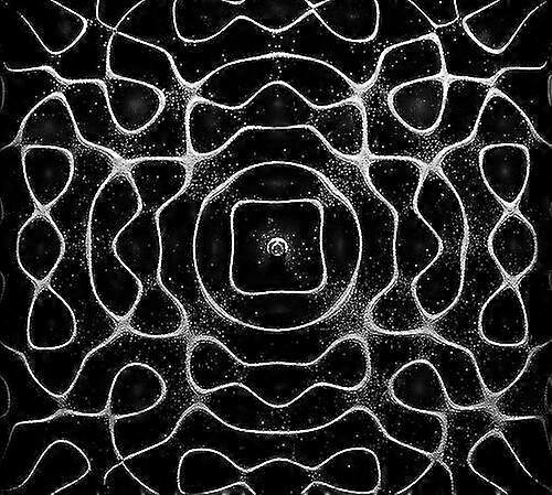 Node : Singularity CD (2023)