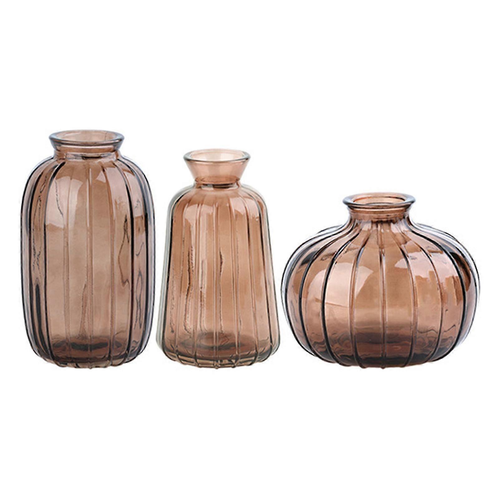 Colored Transparent Glass Vases Set for Home Decor