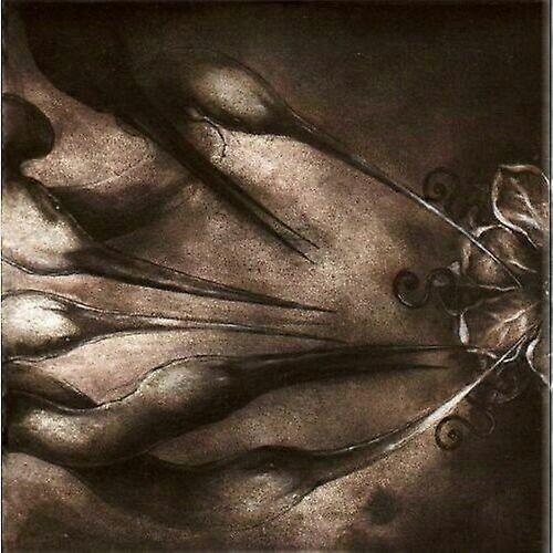 Chaos Is My Name CD (2006)