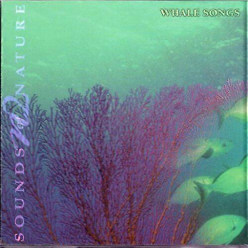 Balina Şarkıları CD'si (2002)
