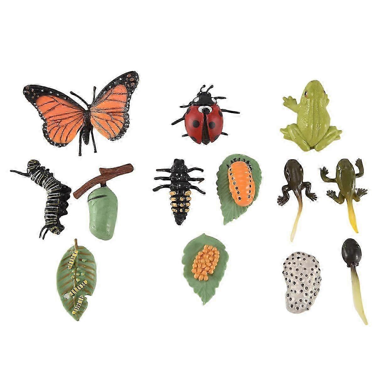 3 Sets Insect Figurines Life Cycle of Butterfly Frog Ladybug Safariology Growth Cycle Model Education Toy JP