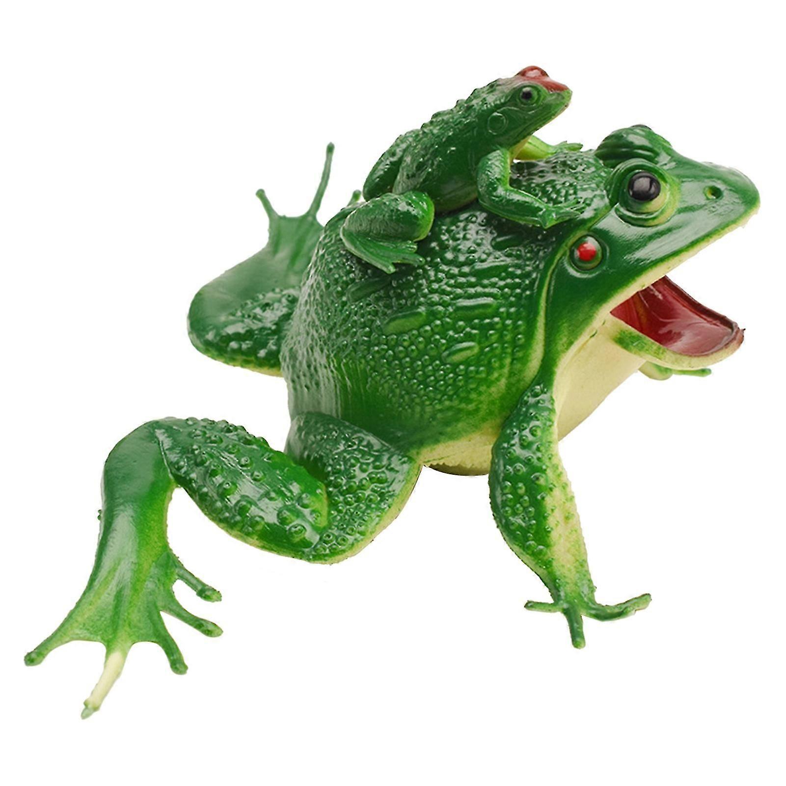 Sounding Frog Toy Clear Texture Puzzle Tricky Props Simulation Sounding Frog Toy For Presentations Kaesi