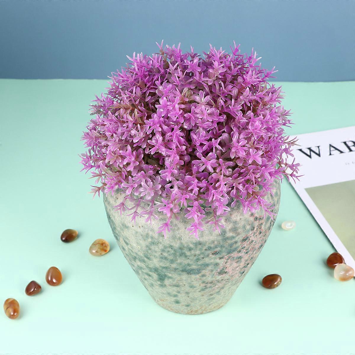 Durable Decorative Flower Pot for Succulents and Cacti – Stylish Multi Functional Plant Holder for Home and Balcony Desktop Decoration