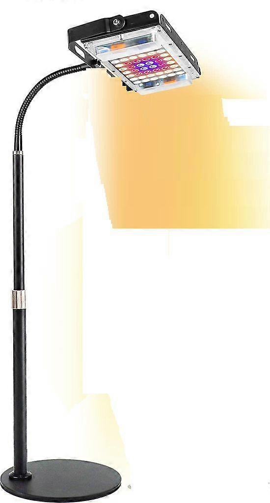 Full Spectrum LED Grow Light with Timer, Adjustable Gooseneck & 10 Brightness for Indoor Plants