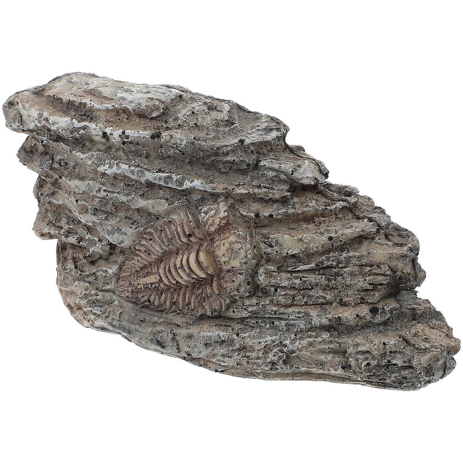 Paleontological Trilobite Resin Specimen for Ornament 5Pcs Grey