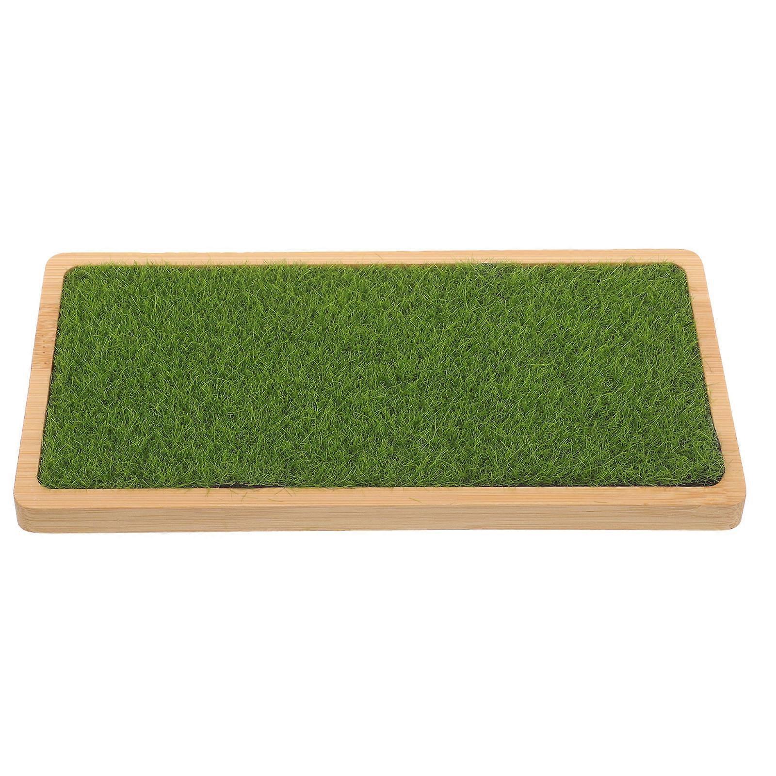 Tabletop Display Base Action Figure Display Stand for 5Pcs Green Grass