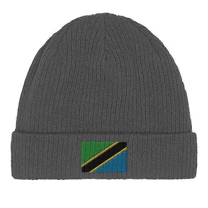 Tanzania Flag Beanie in Gray
