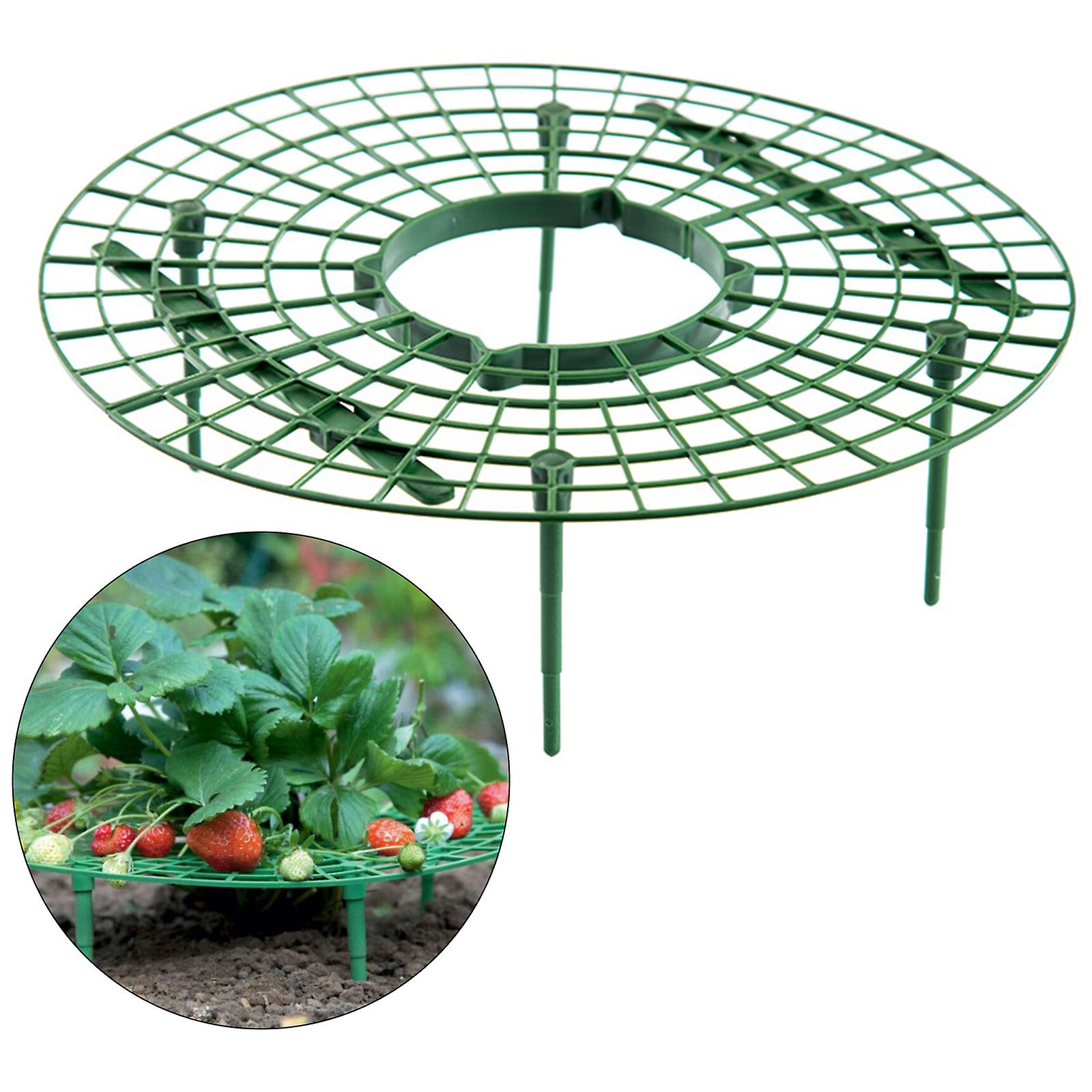 Strawberry stand strawberry planting bracket diameter 30 * high 9cm