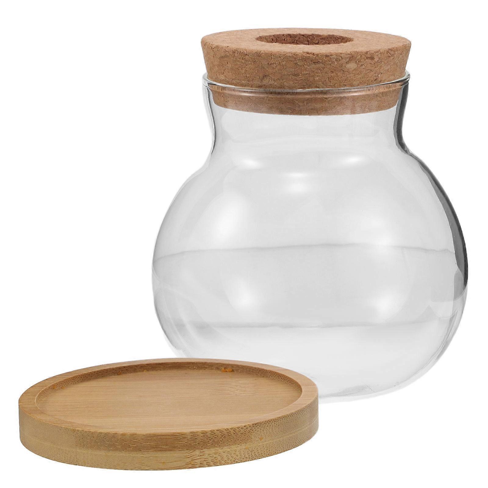 Water Plant Bottle Glass Vase Hydroponic with Bamboo Tray 2Sets