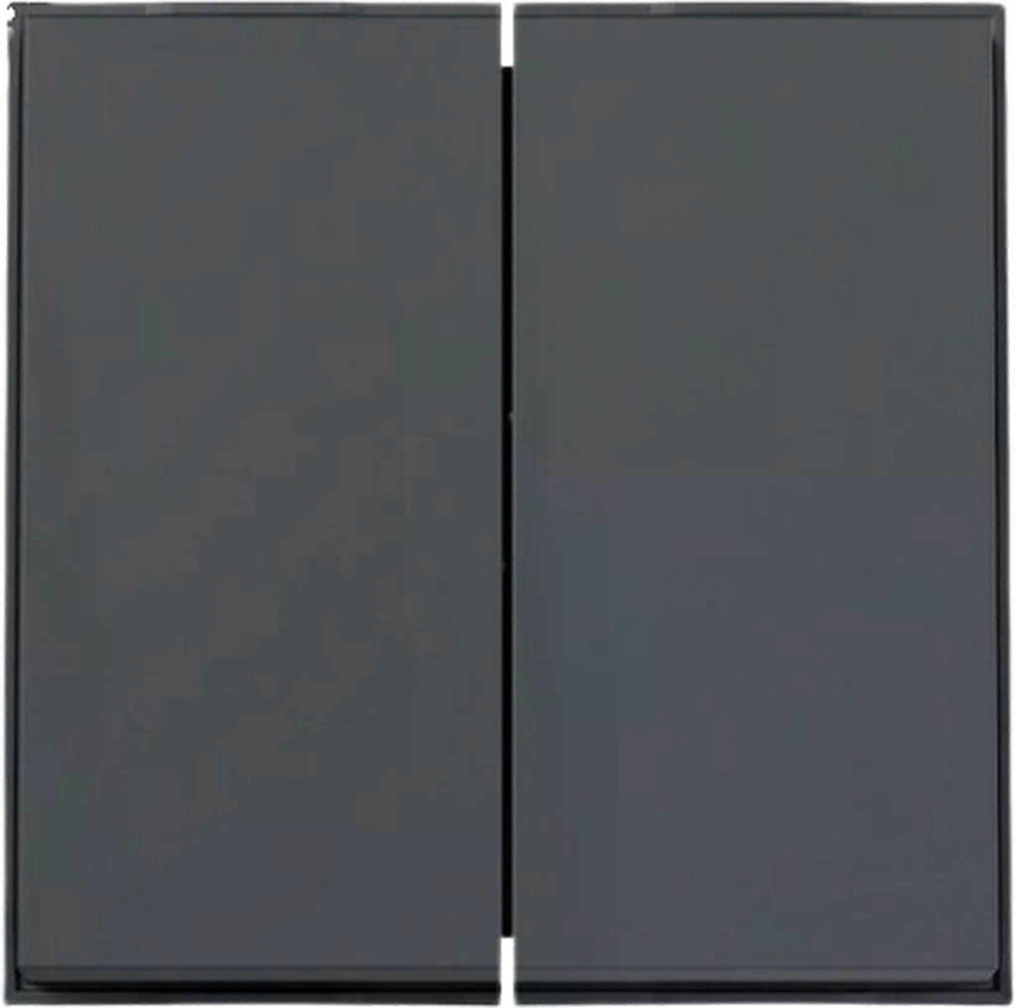 Gira Wippe 2f, TX\_44 (WG UP), Anthrazit