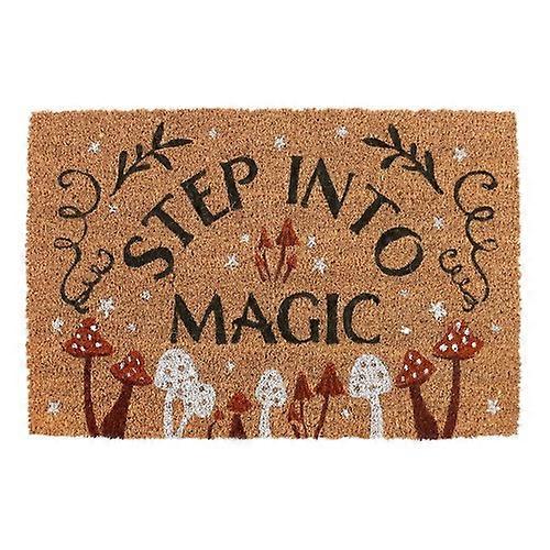 Something Different Step Into Magic Door Mat