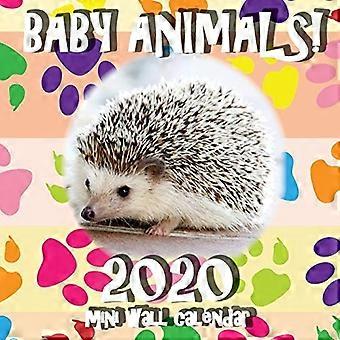 Baby dyr! 2020 Mini Vegg Kalender