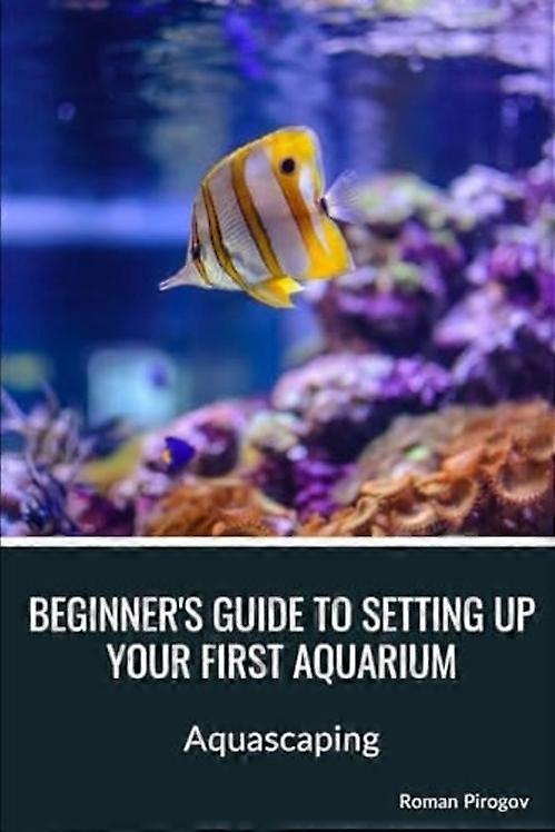 Beginner's Guide to Setting Up Your First Aquarium Aquascaping