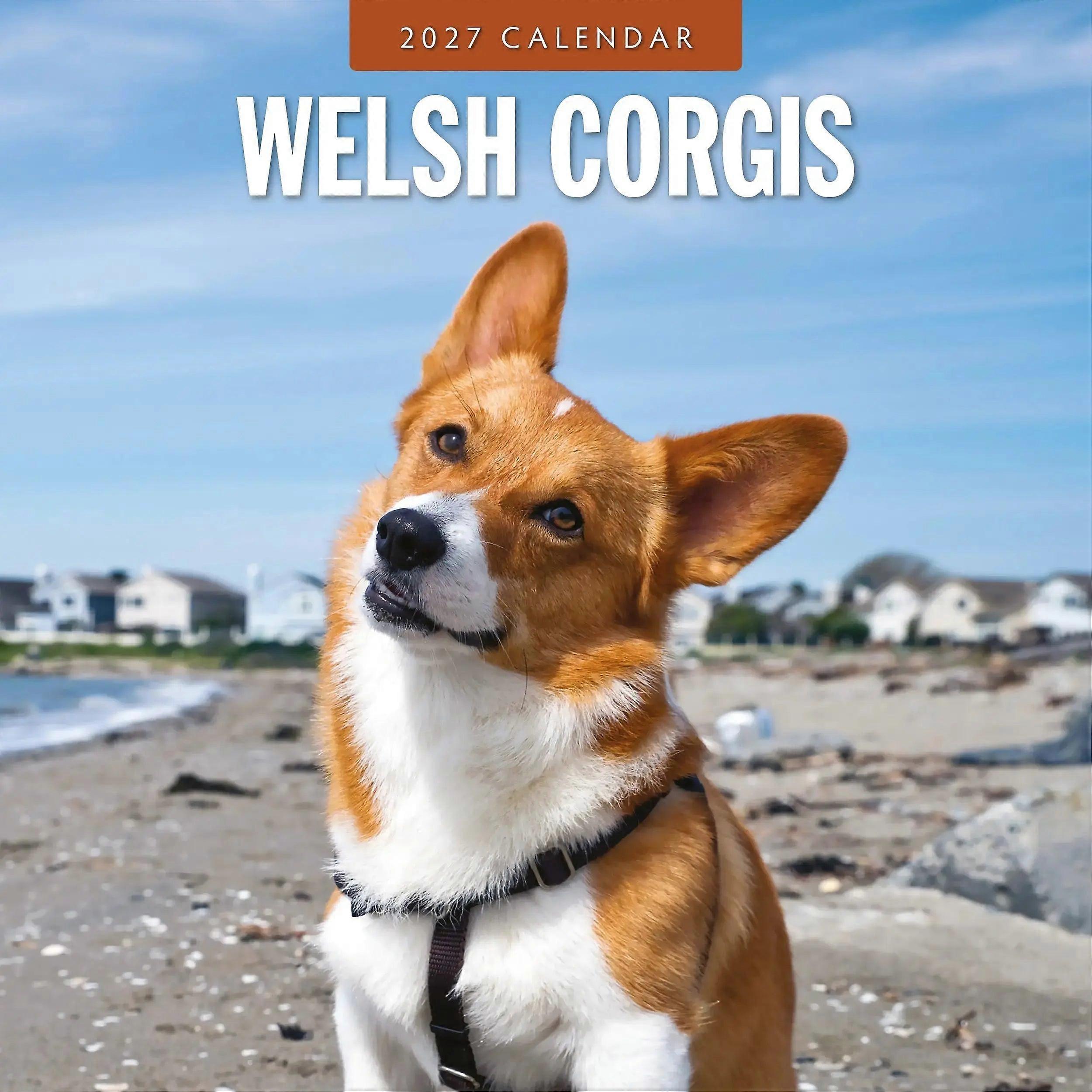 Avonside Welsh Corgi Calendar 2026