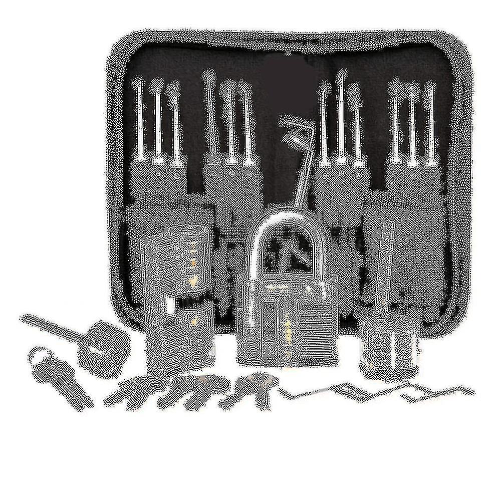 مجموعة اختيار القفل، طقم اختيار القفل المكون من 25 قطعة، أدوات التدريب مع 3 Locks_a واضحة