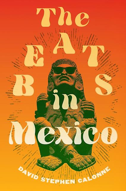 The Beats In Mexico by David Stephen Calonne Paperback Book