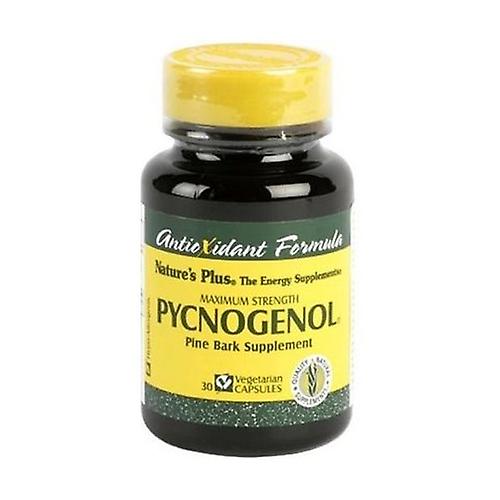 Pycnogenol 30 capsules