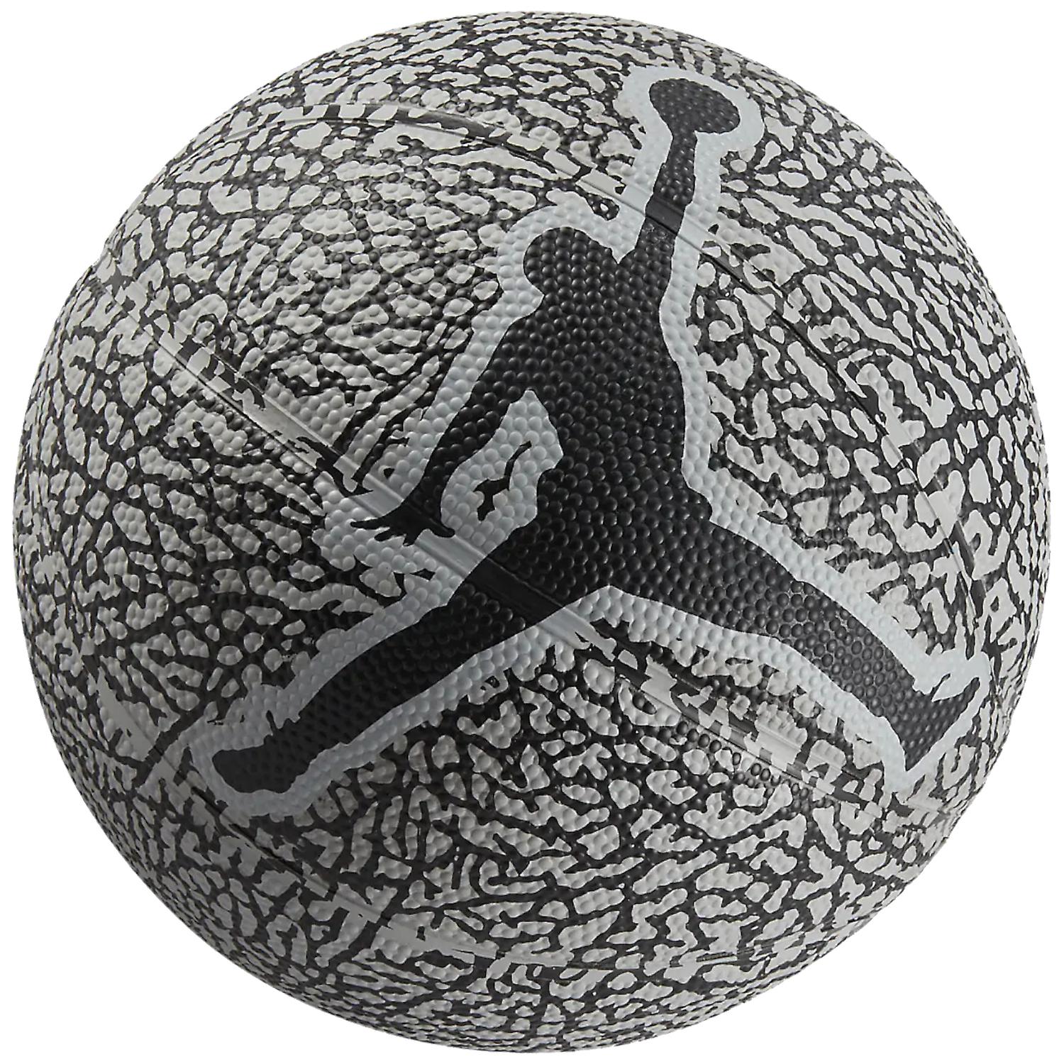 Basketbollar Jordan Skills 2.0 Grafisk miniboll