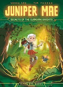 Juniper Mae Secrets Of The Guardian Knights by Sarah Soh Paperback Book