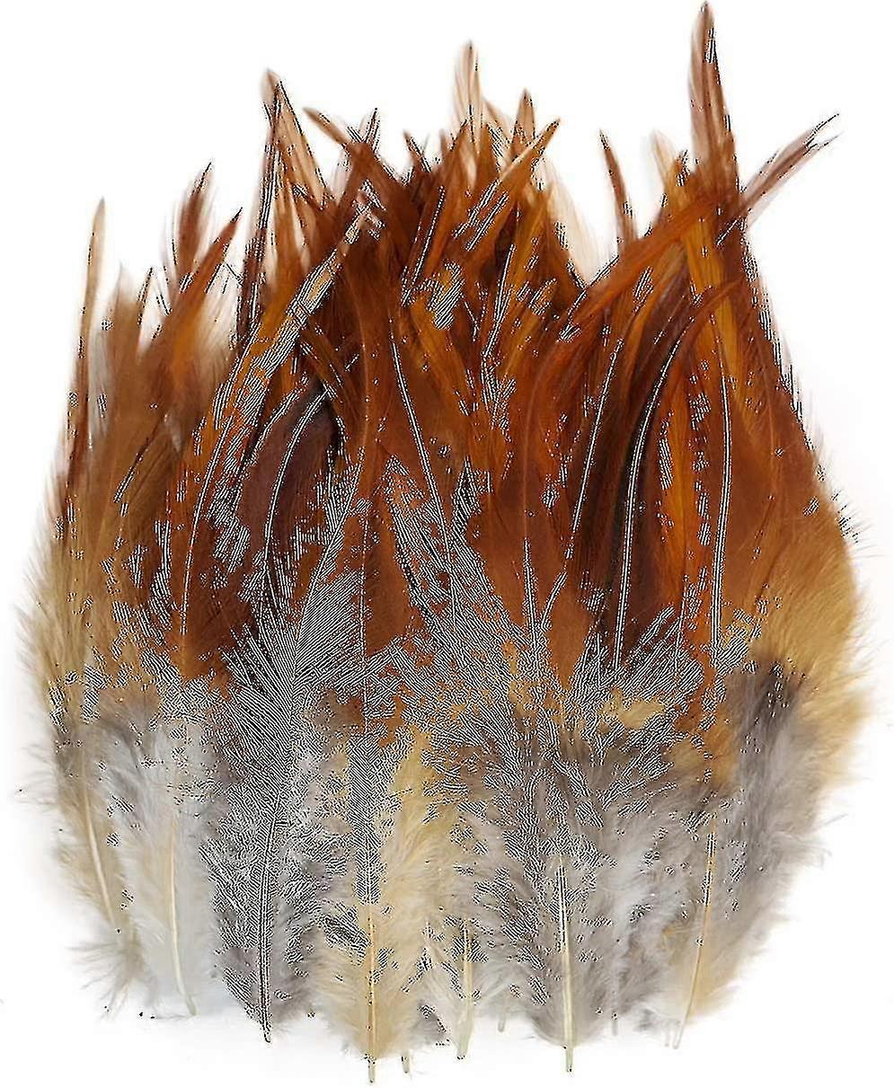 200pcs pluma para artesanías