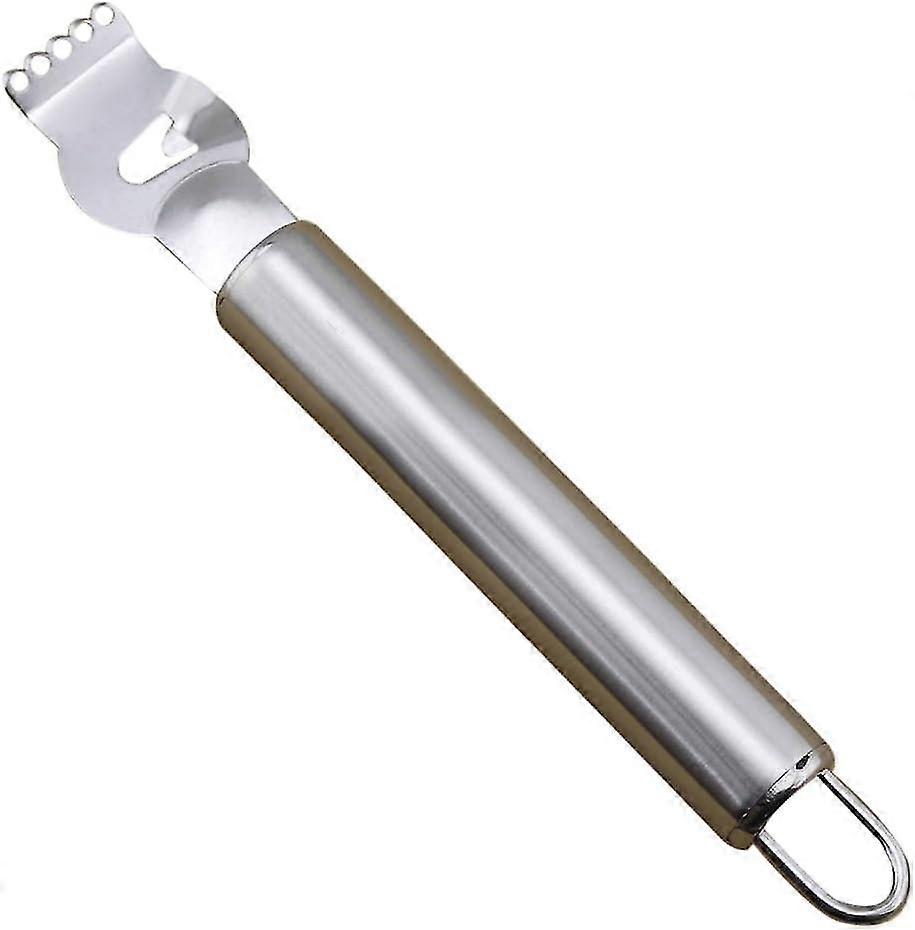 Lemon Orange Fruit Zester Professional Peeling Tool for Kitchen