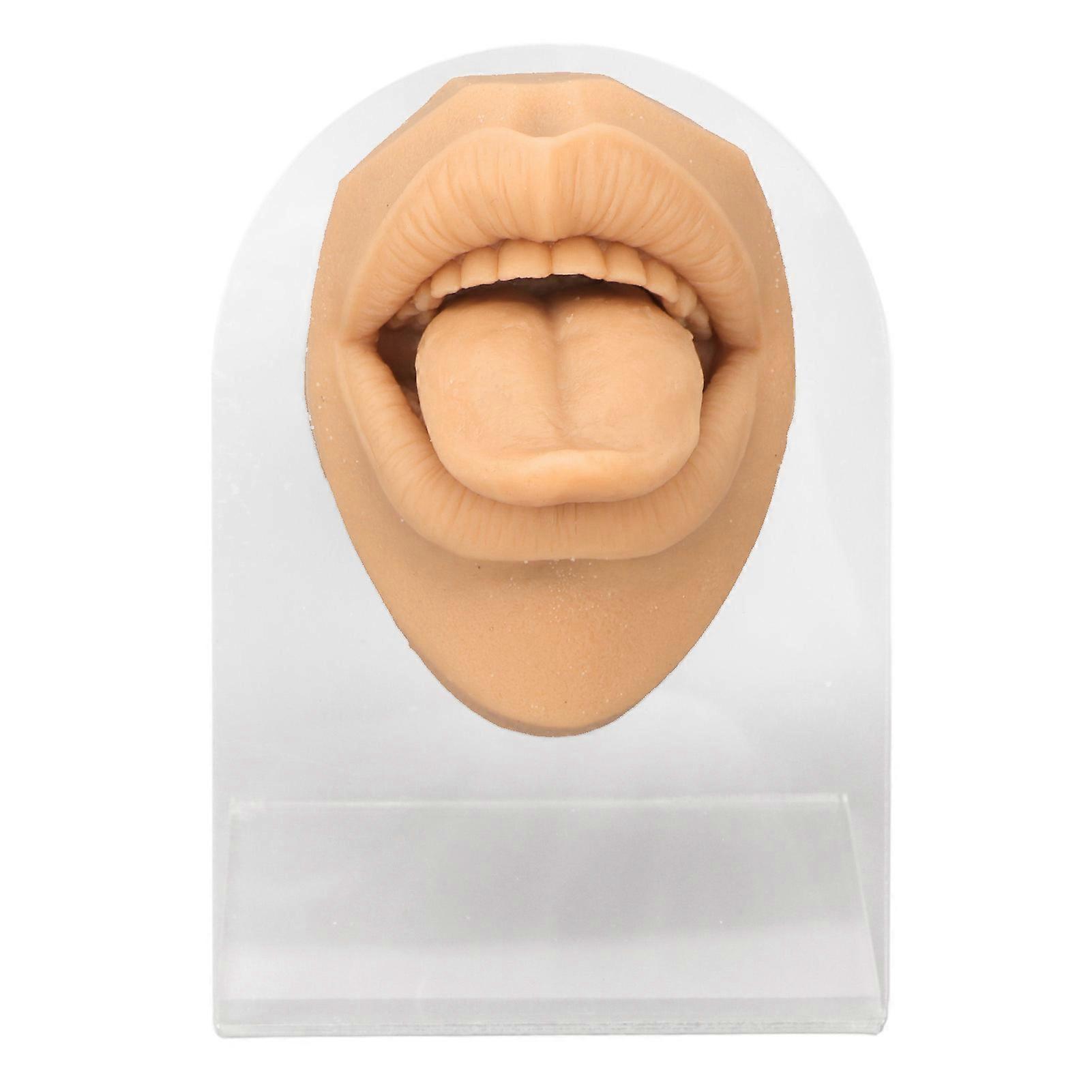 Human Tongue Model Soft Silicone Lifelike Acrylic Stand Mouth Model for Jewelry Display Skin Color