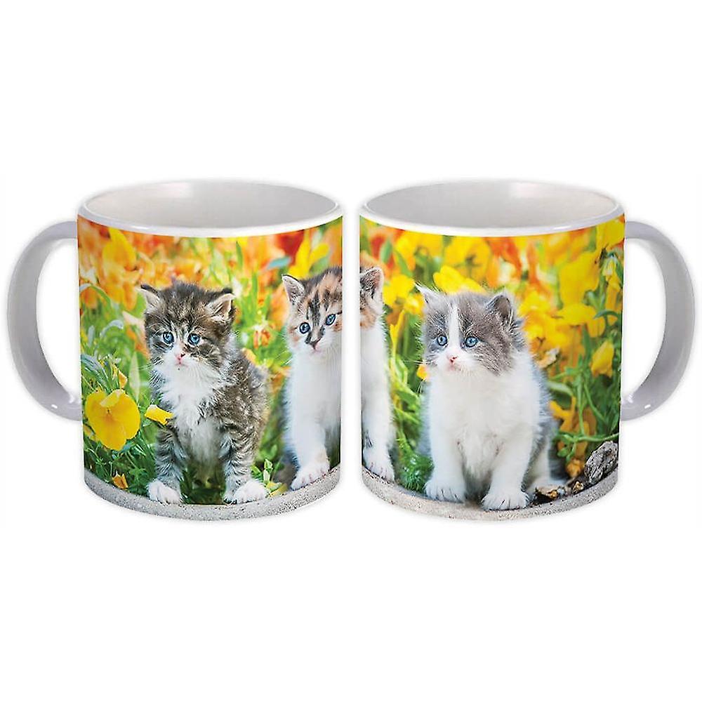 Gift Mug: Cat Animal